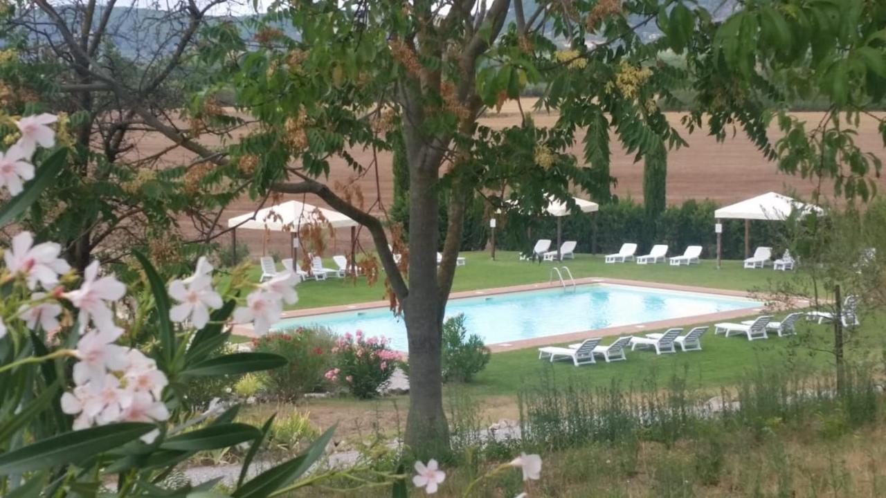 Casa Country House Girasole Vakantie Huis-Wakacje Huis Asciano Ngoại thất bức ảnh