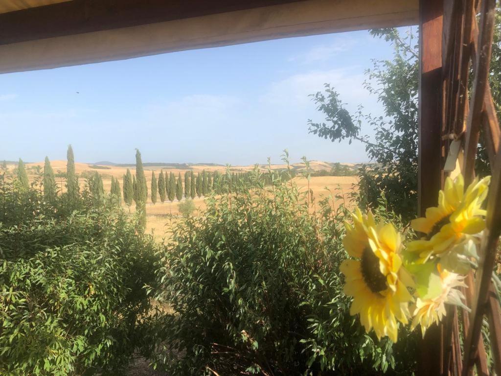 Casa Country House Girasole Vakantie Huis-Wakacje Huis Asciano Ngoại thất bức ảnh