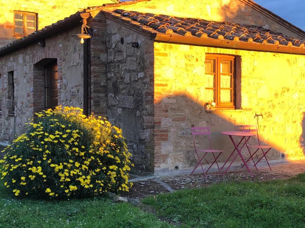 Casa Country House Girasole Vakantie Huis-Wakacje Huis Asciano Ngoại thất bức ảnh