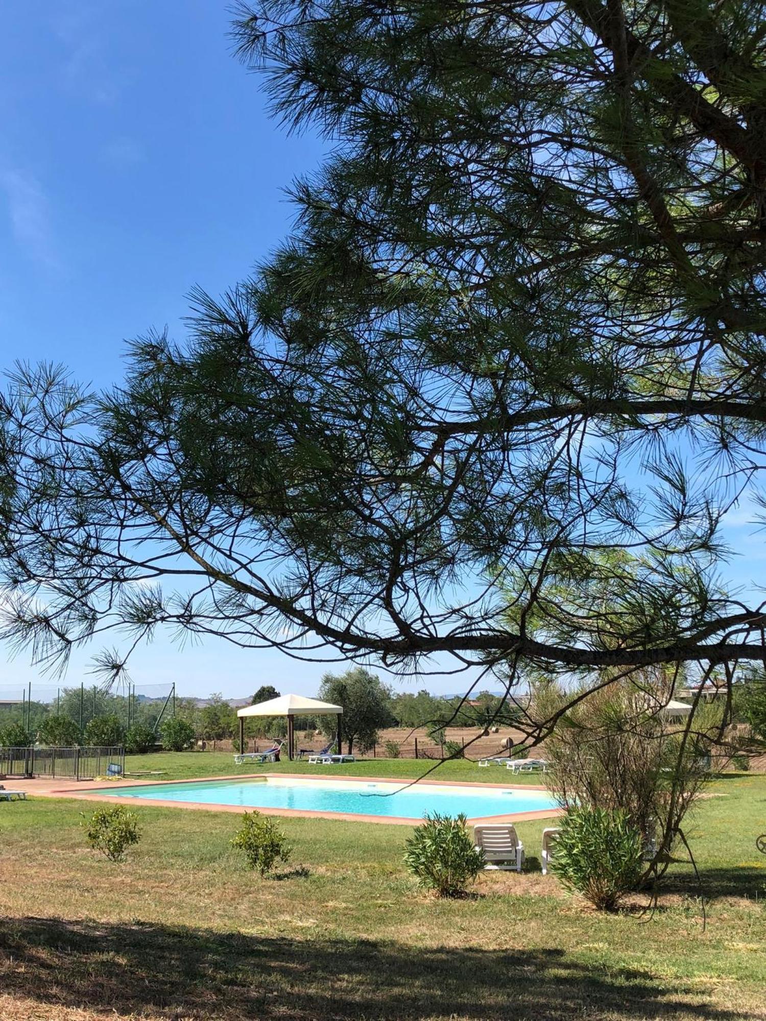 Casa Country House Girasole Vakantie Huis-Wakacje Huis Asciano Ngoại thất bức ảnh
