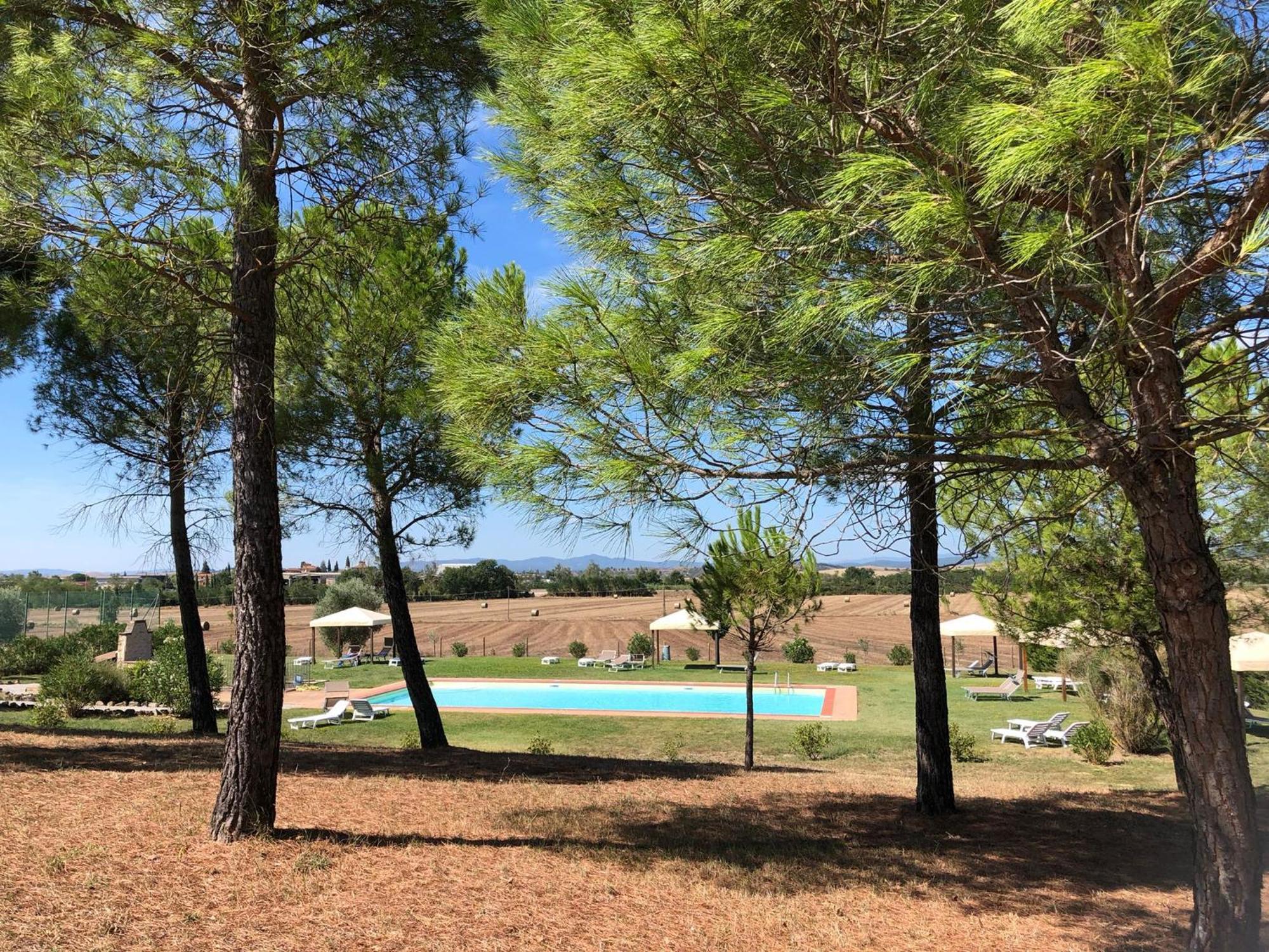 Casa Country House Girasole Vakantie Huis-Wakacje Huis Asciano Ngoại thất bức ảnh