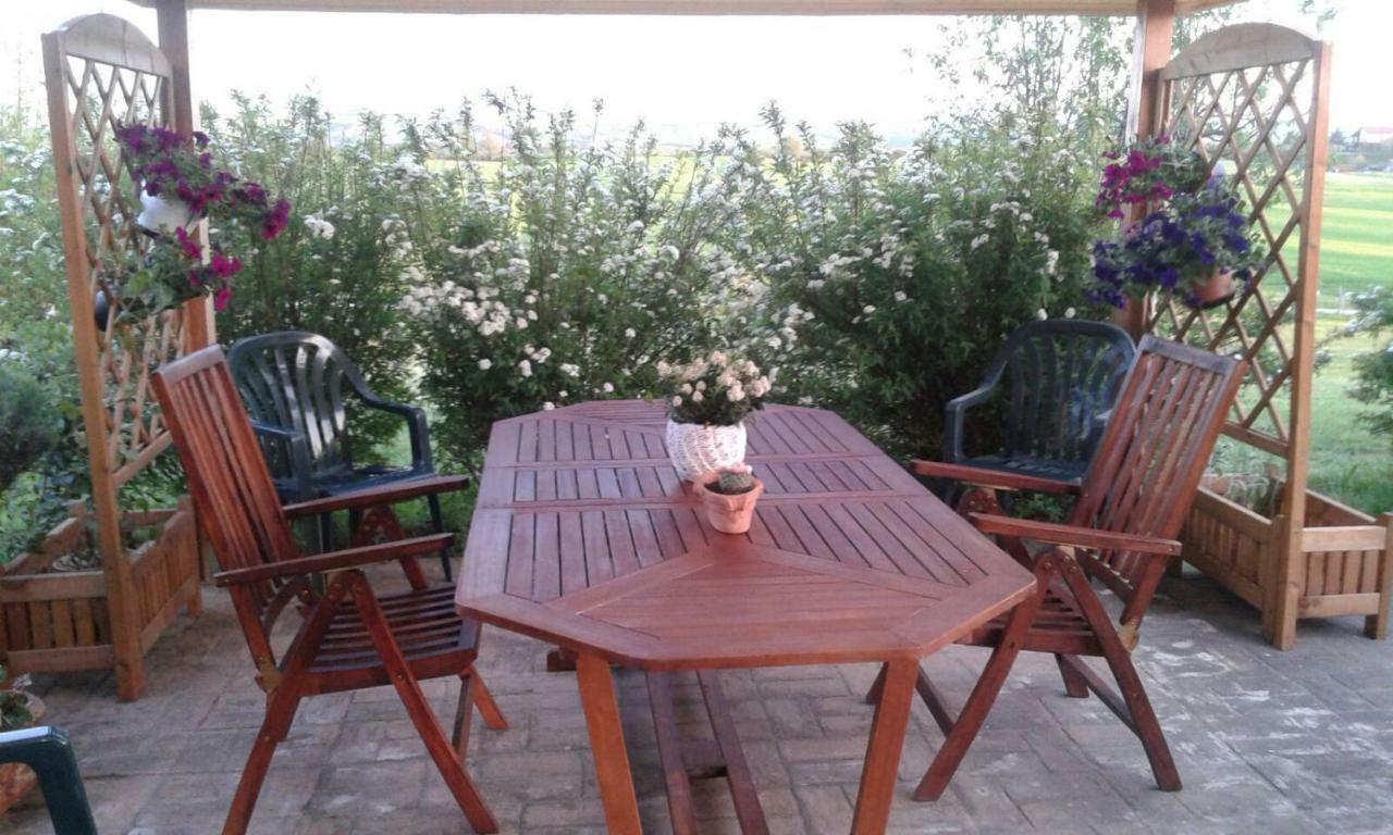 Casa Country House Girasole Vakantie Huis-Wakacje Huis Asciano Ngoại thất bức ảnh