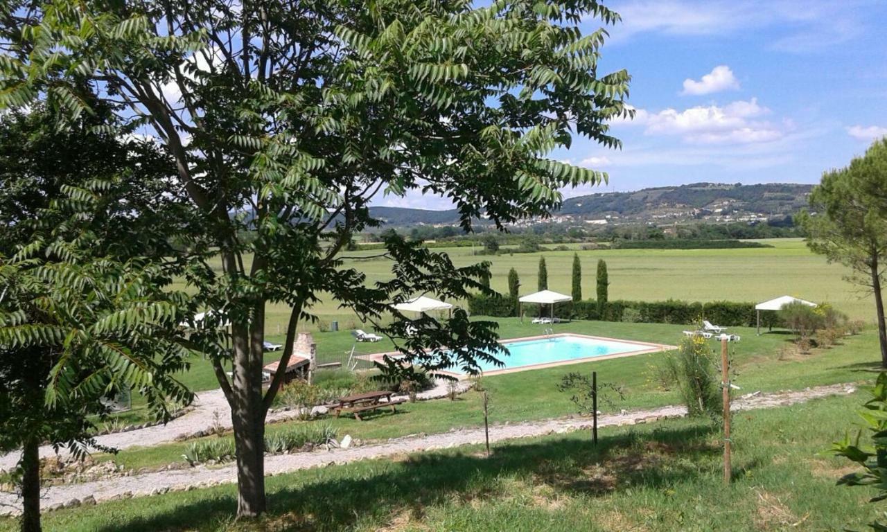 Casa Country House Girasole Vakantie Huis-Wakacje Huis Asciano Ngoại thất bức ảnh